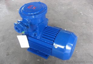 隔爆型三相異步電動(dòng)機(jī)價(jià)格、廠家與圖片詳解 機(jī)械用電動(dòng)機(jī)選購指南